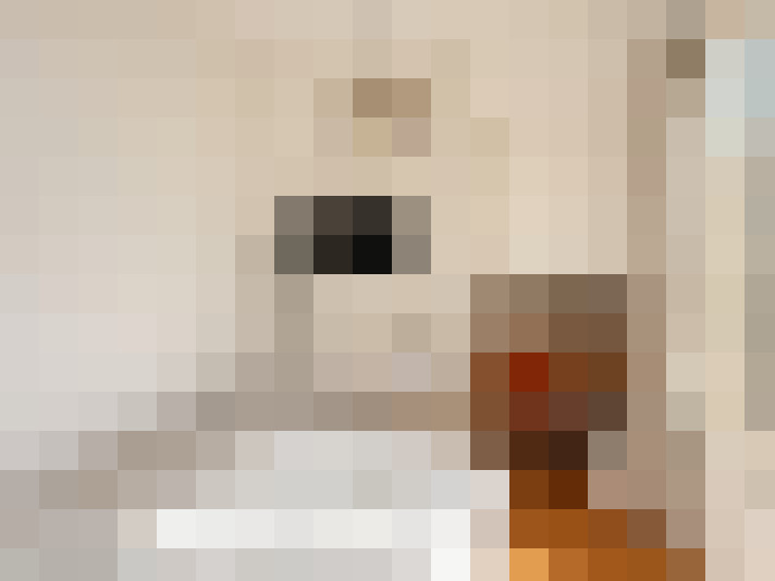  / #16