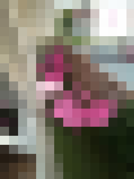  / #20