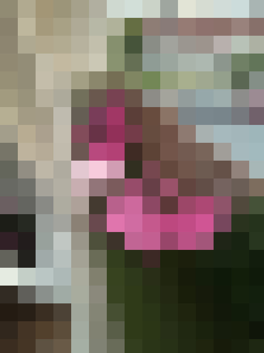  / #19