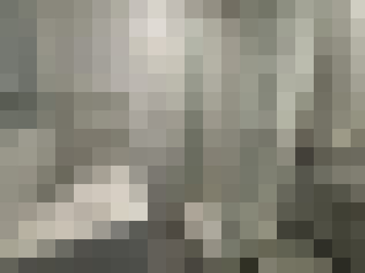  / #8