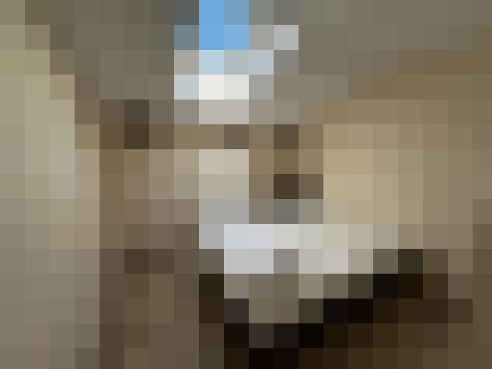  / #9