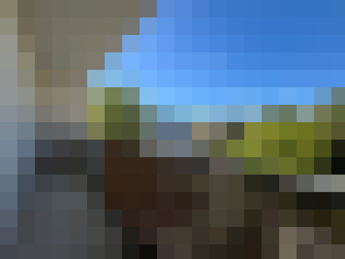  / #7