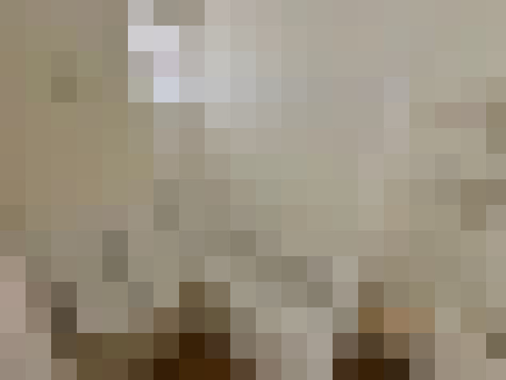  / #11