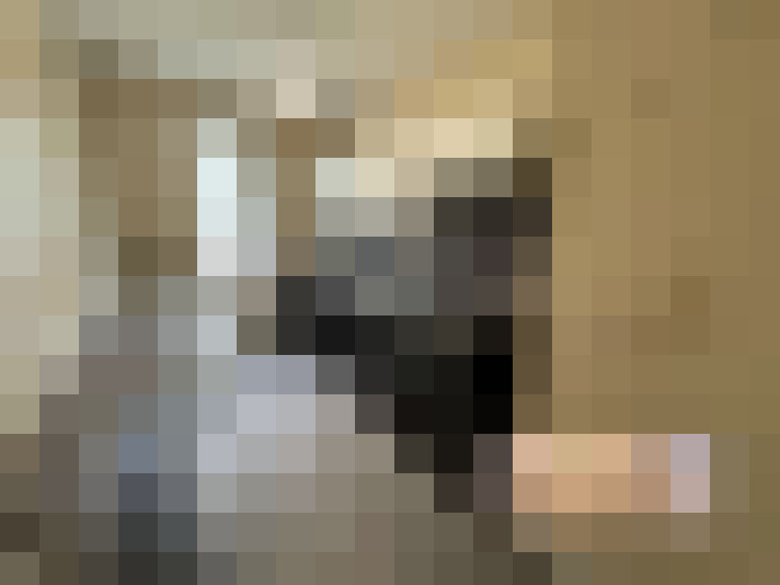  / #14