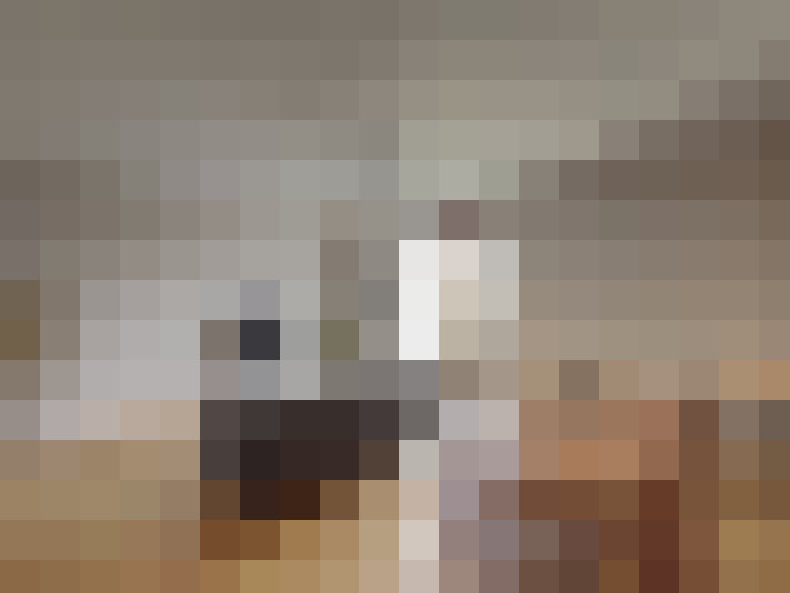  / #7