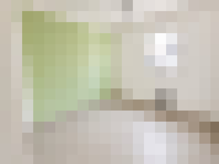  / #15