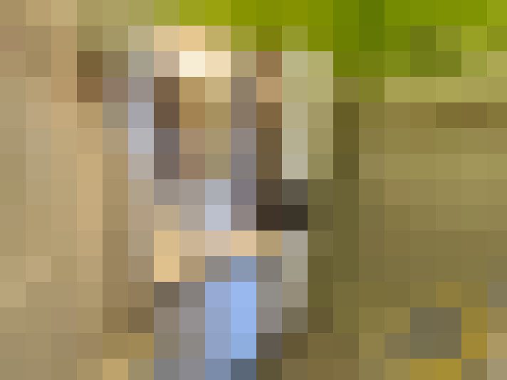  / #6
