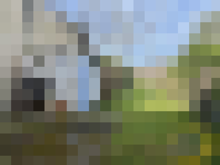  / #5