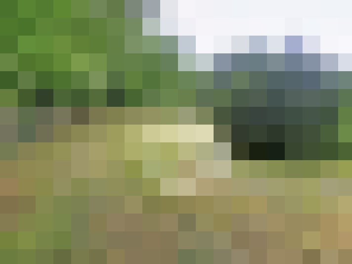  / #16