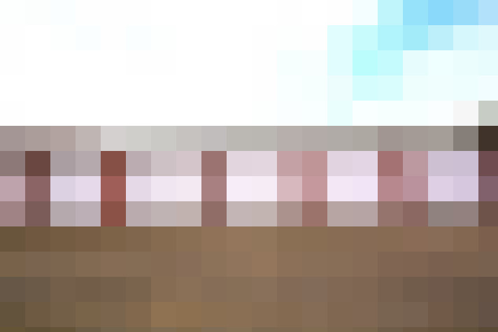  / #11