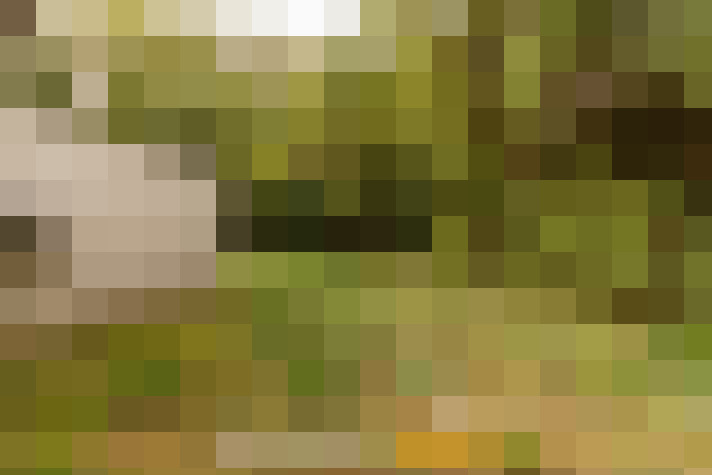  / #16