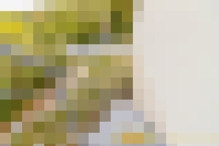  / #13