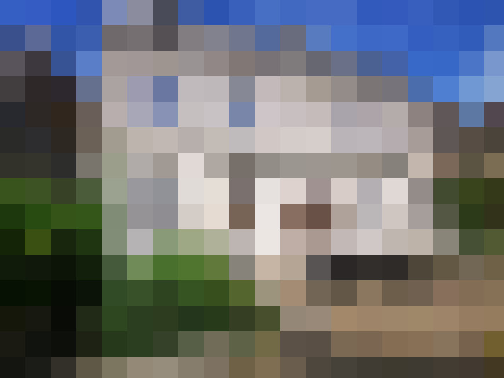  / #7