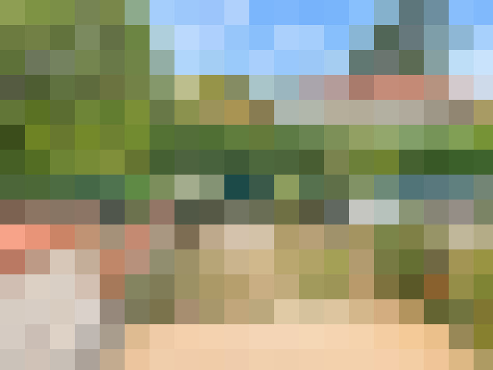  / #15