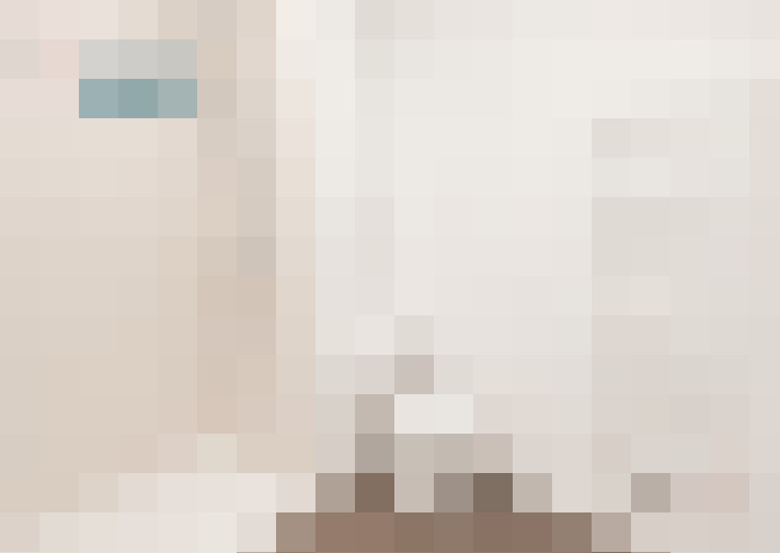  / #16