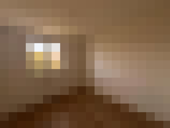  / #11