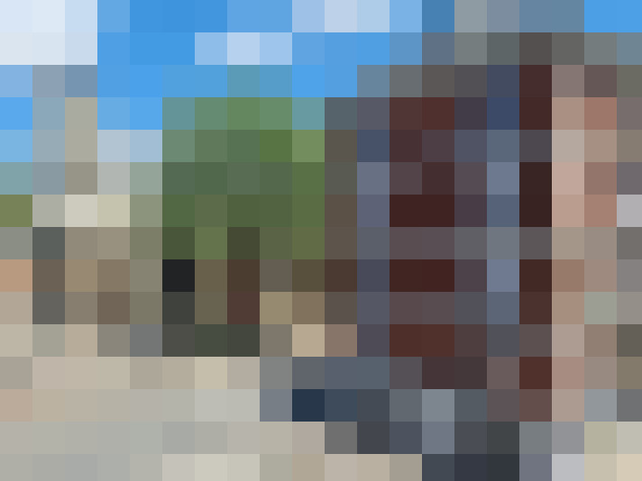  / #11