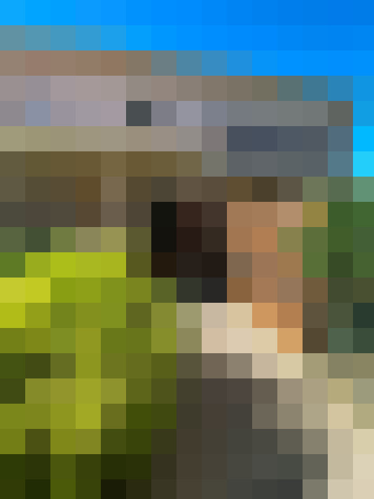 / #8