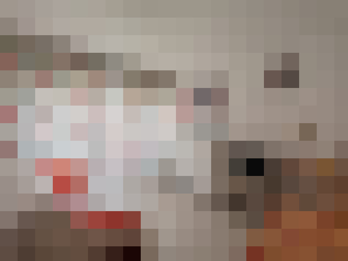  / #16