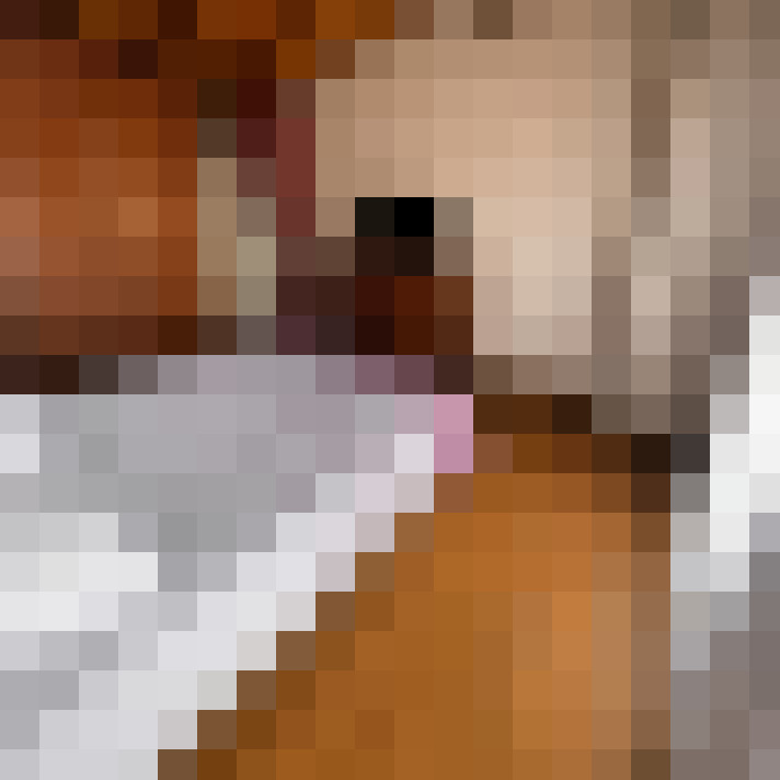  / #6