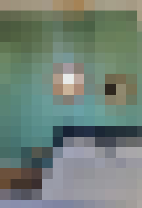  / #6