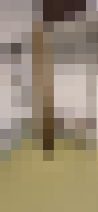  / #18
