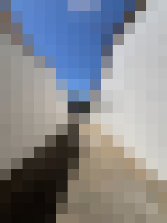  / #13