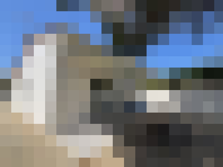  / #9