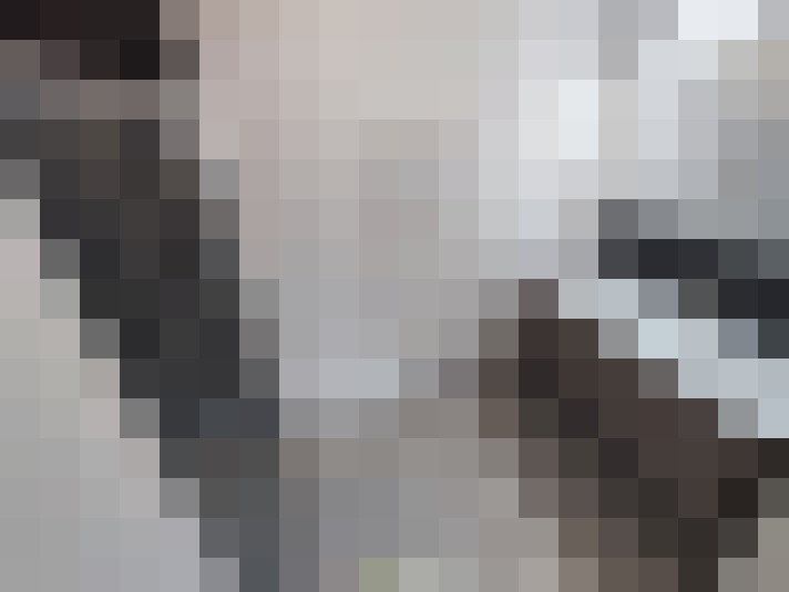 / #20