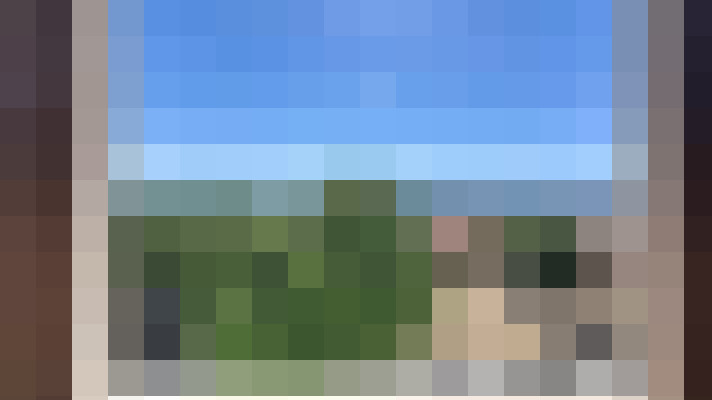  / #11