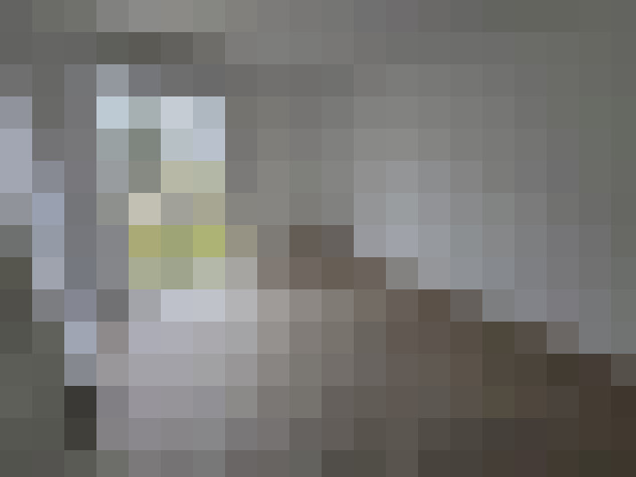 / #8