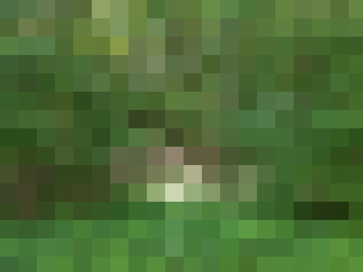  / #14