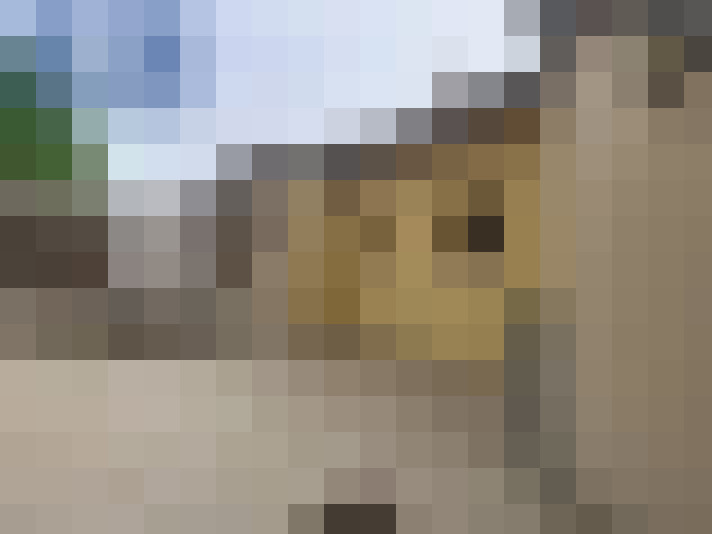  / #14