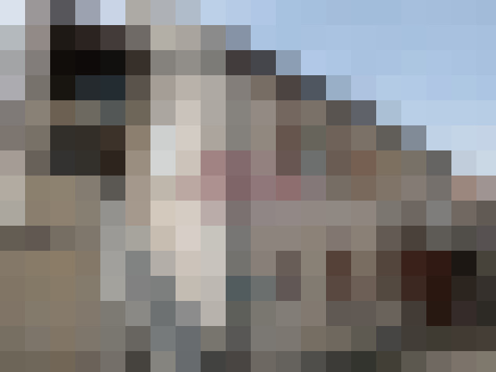  / #7
