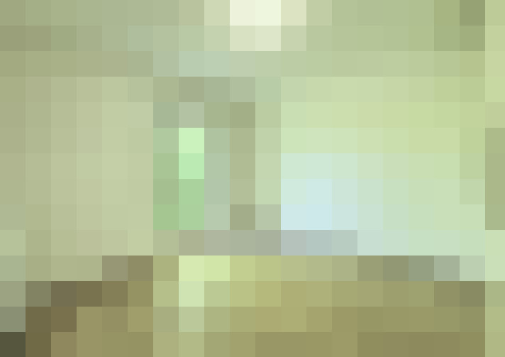  / #6