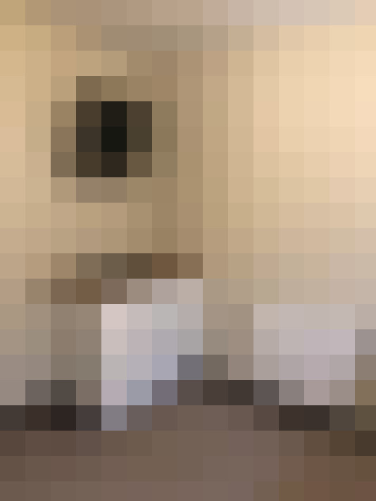  / #6