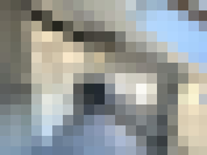  / #17