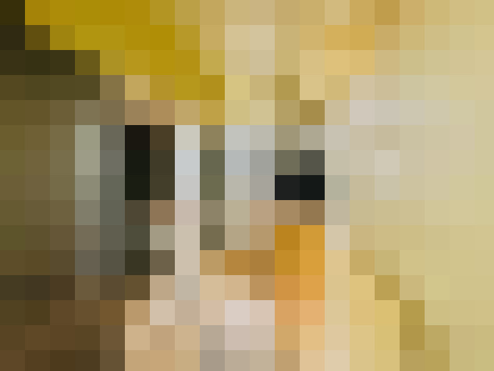  / #8