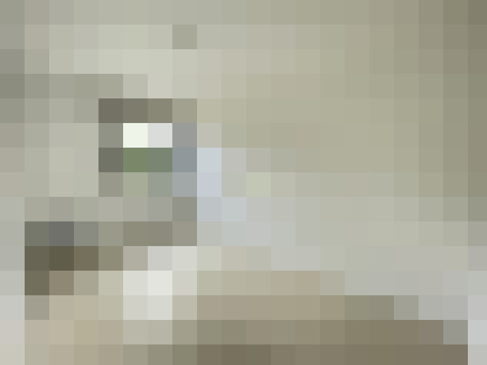  / #8