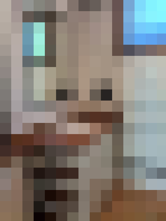  / #5