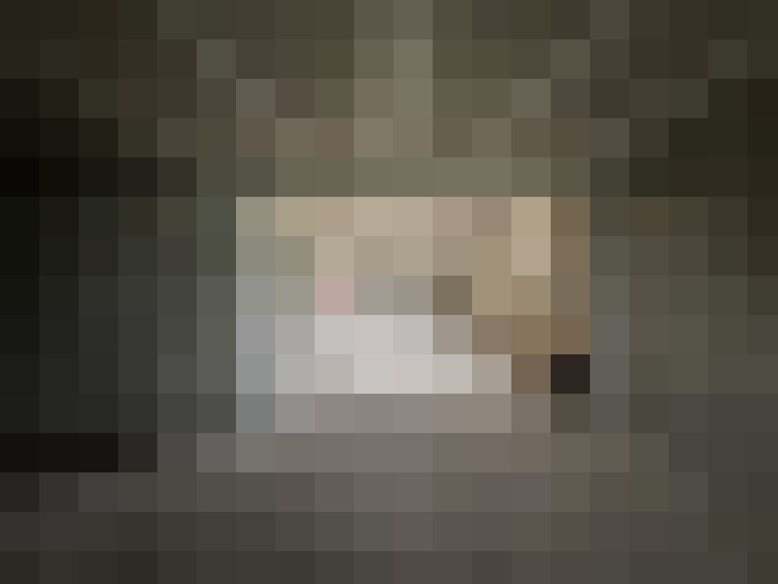  / #13