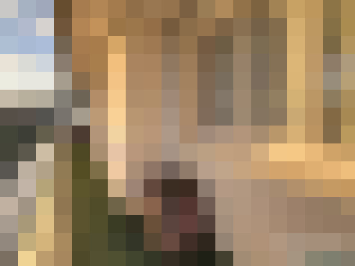  / #20