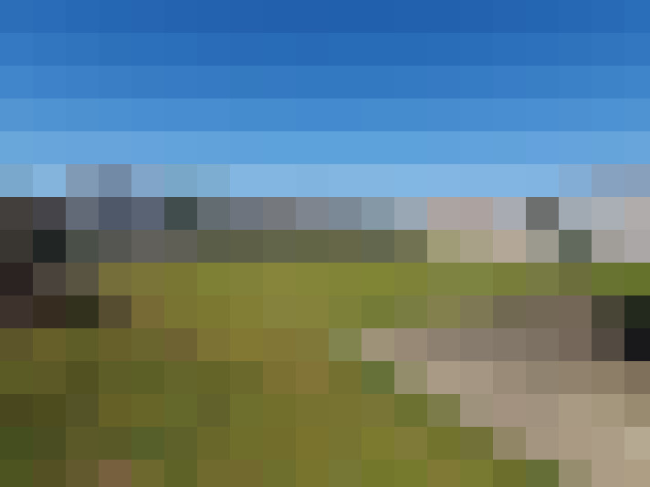  / #15