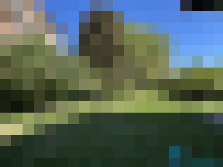  / #12