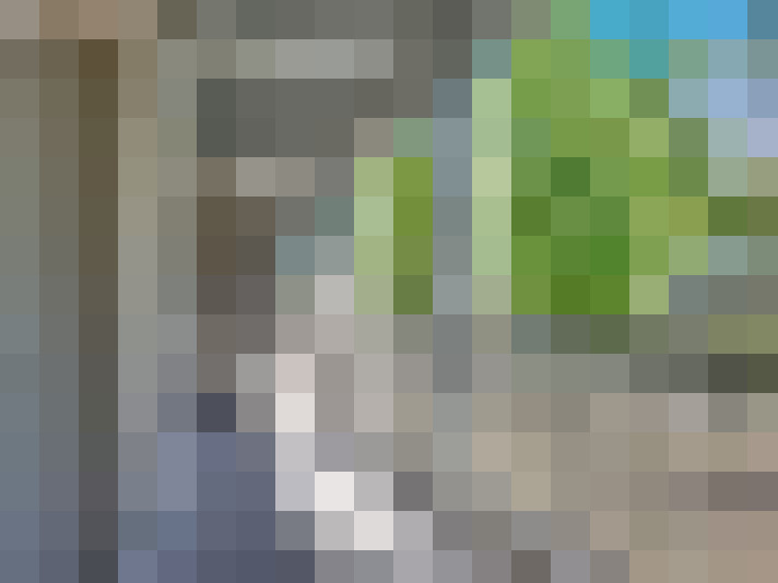  / #15