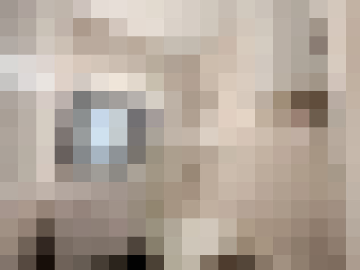  / #8