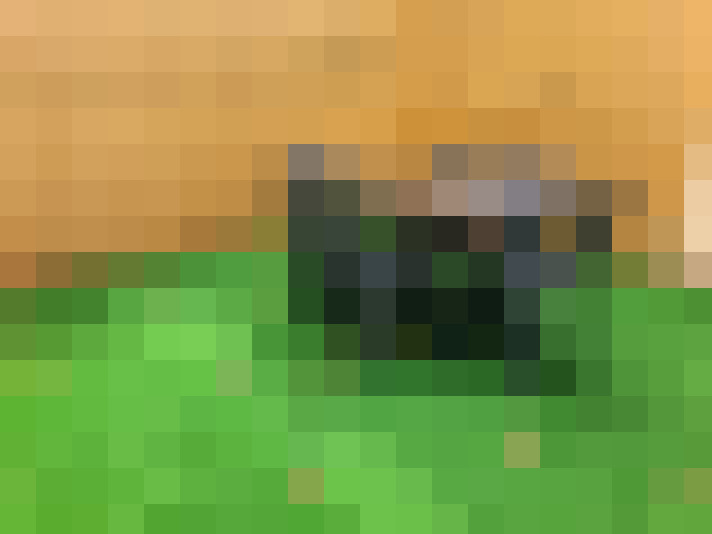  / #12
