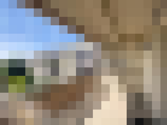  / #6