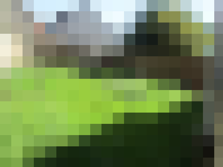  / #17