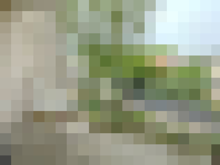  / #16